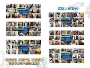 成都甲醛治理與保潔服務(wù)選擇指南 如何找到經(jīng)濟實惠的可靠公司