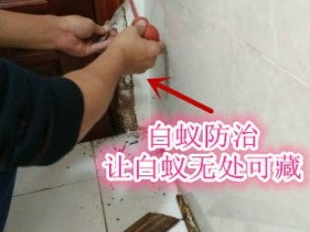 深圳專業保潔與除蟲服務 工廠、商店、展廳的全方位清潔解決方案