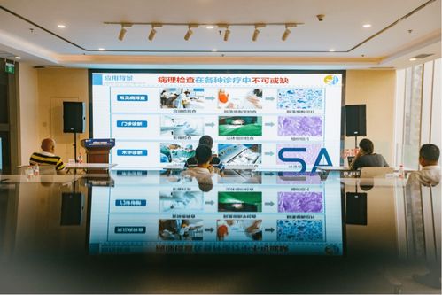 數(shù)字經濟產業(yè)賦能 場景匯路演聚焦人工智能雙創(chuàng)服務與智慧教育新機遇